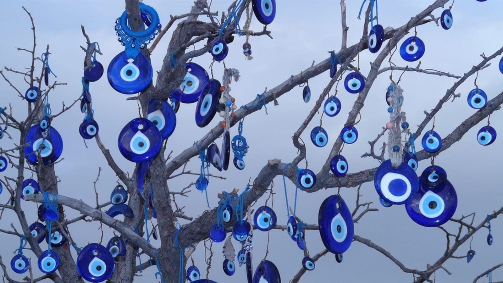 Blue nazar (evil eye) amulets hanging on a tree