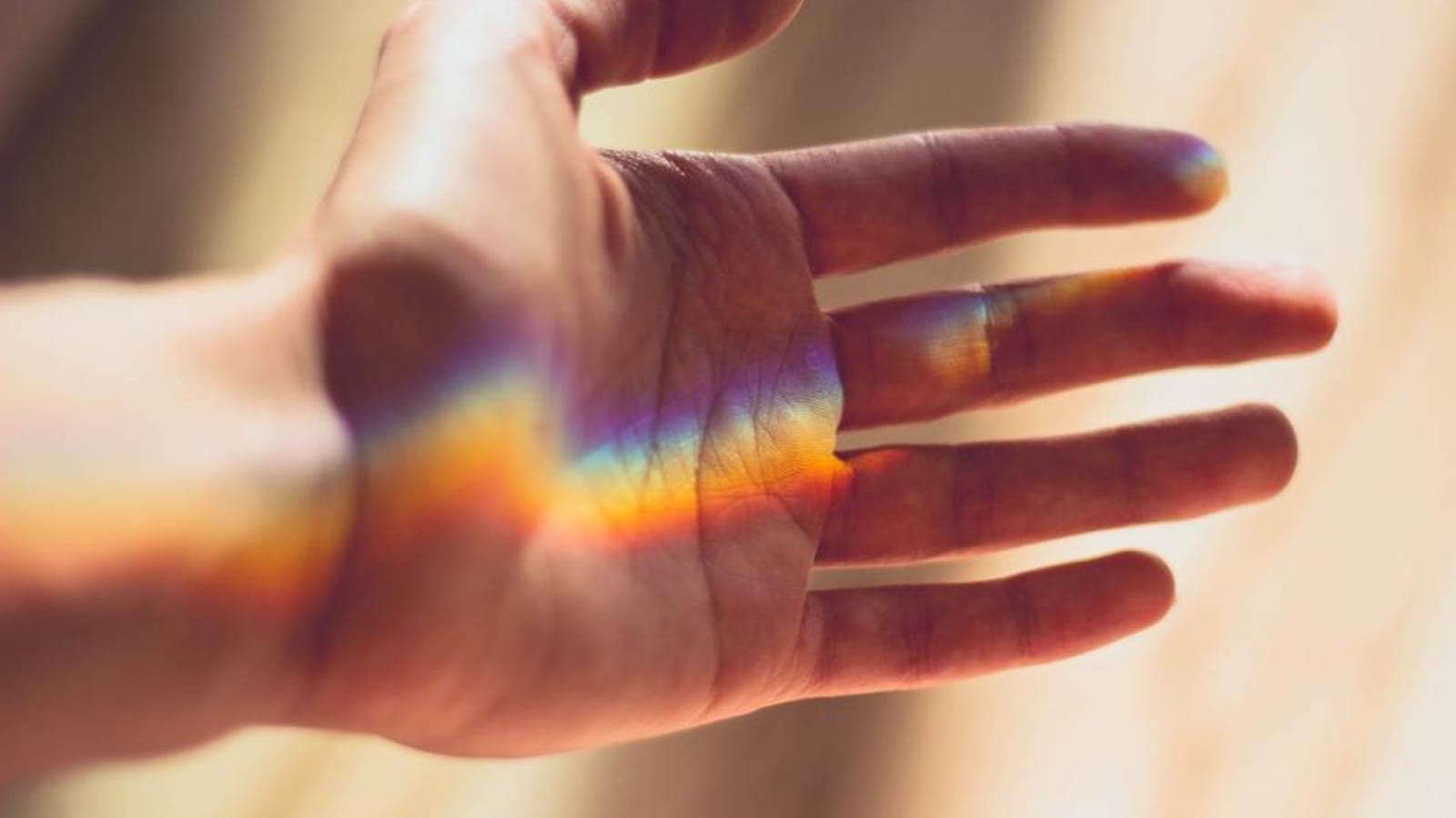 An open hand held up to the light