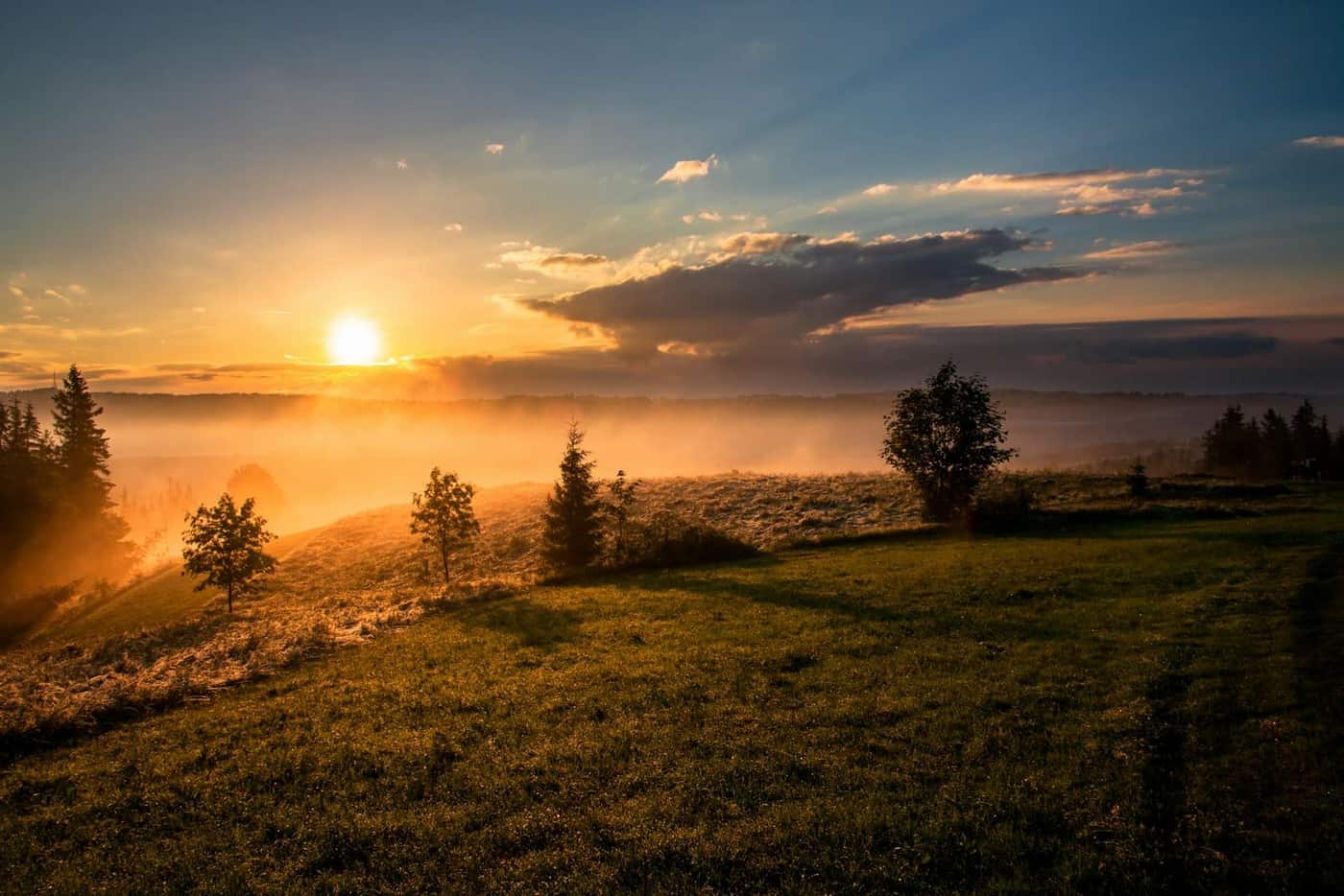 Sunrise breaking through morning mist over a green field