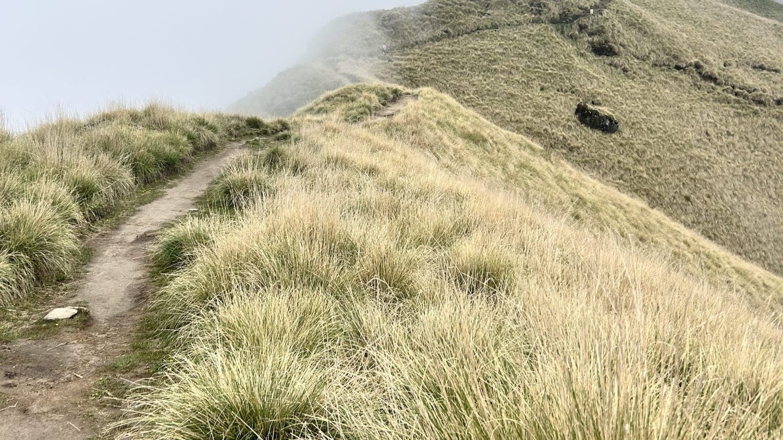 A winding path climbing a misty mountain