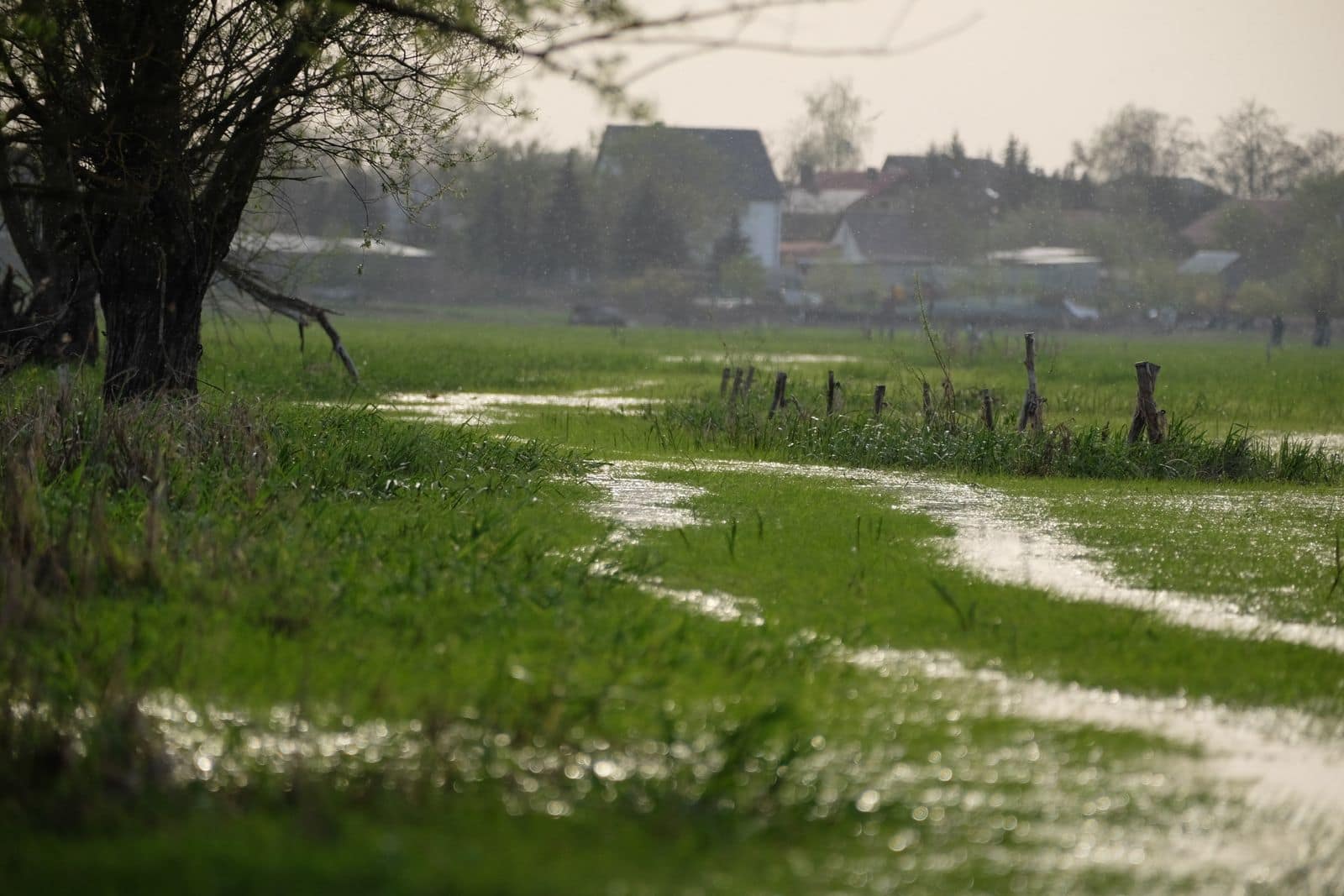 Rain falling over a lush green field
