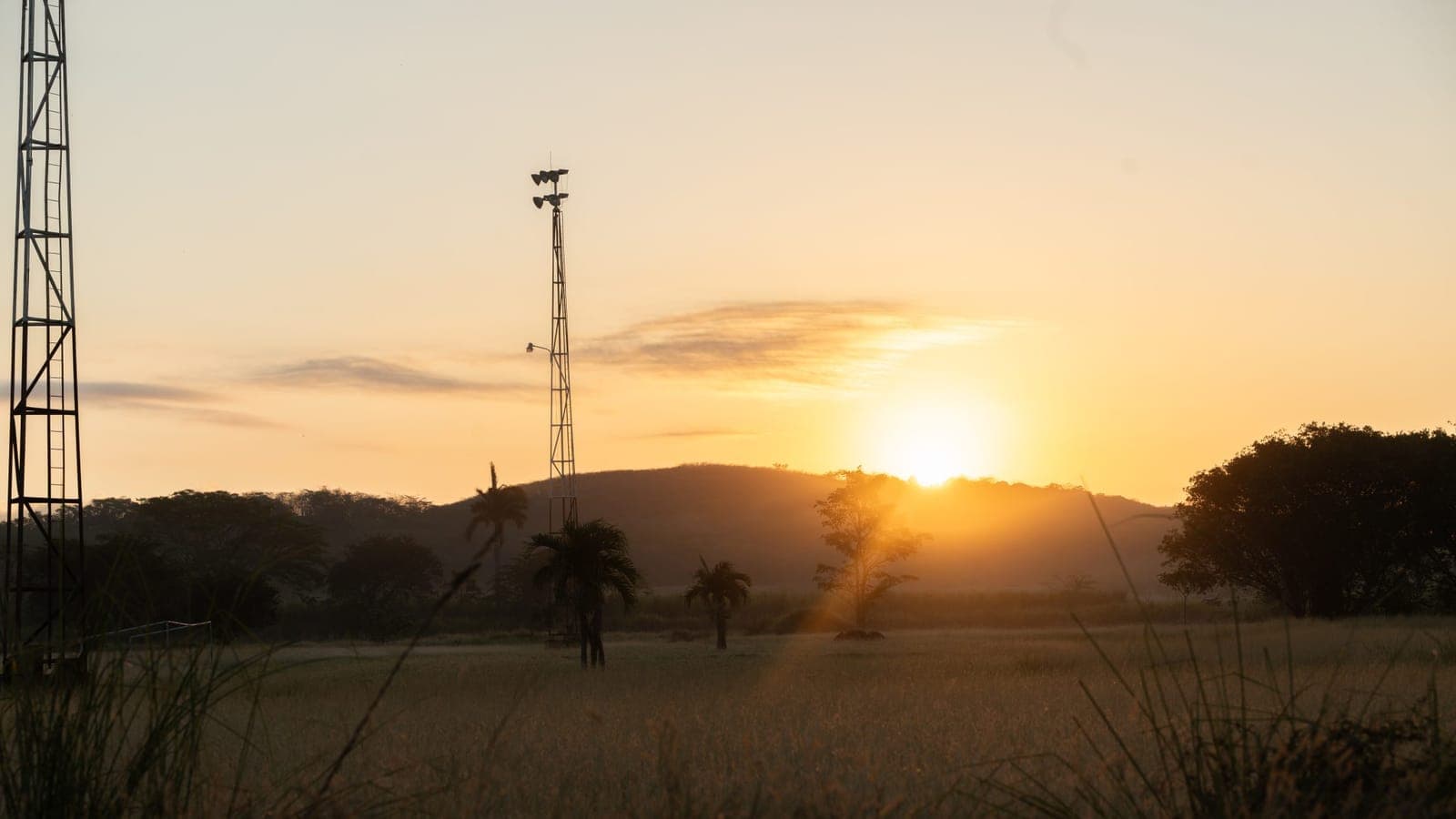 A warm sunrise over an open field